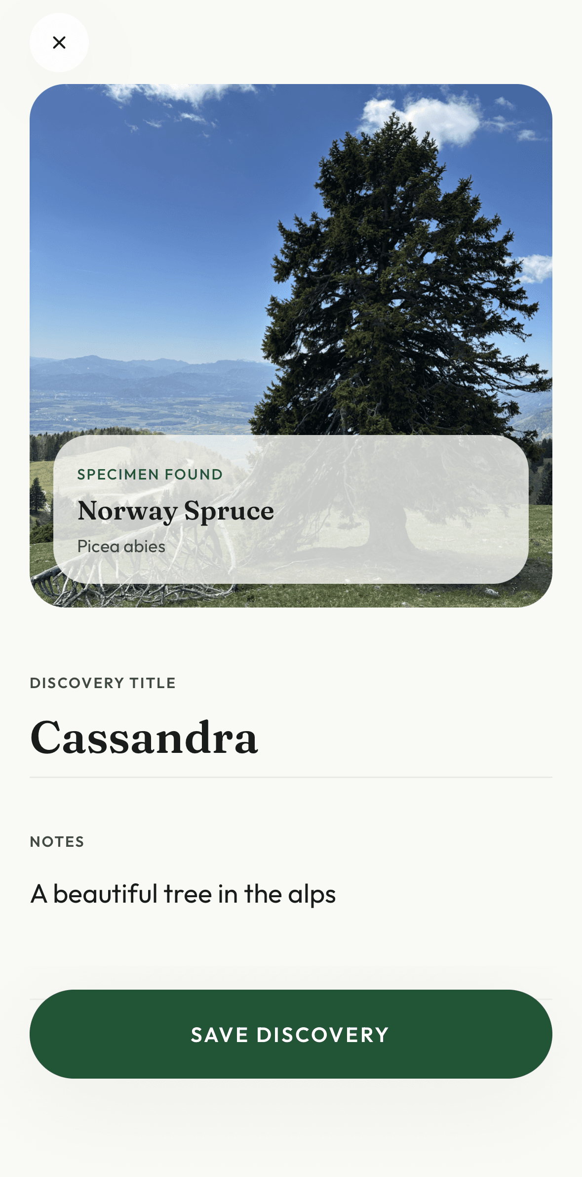 Naming a newly claimed tree in the Sylvo app