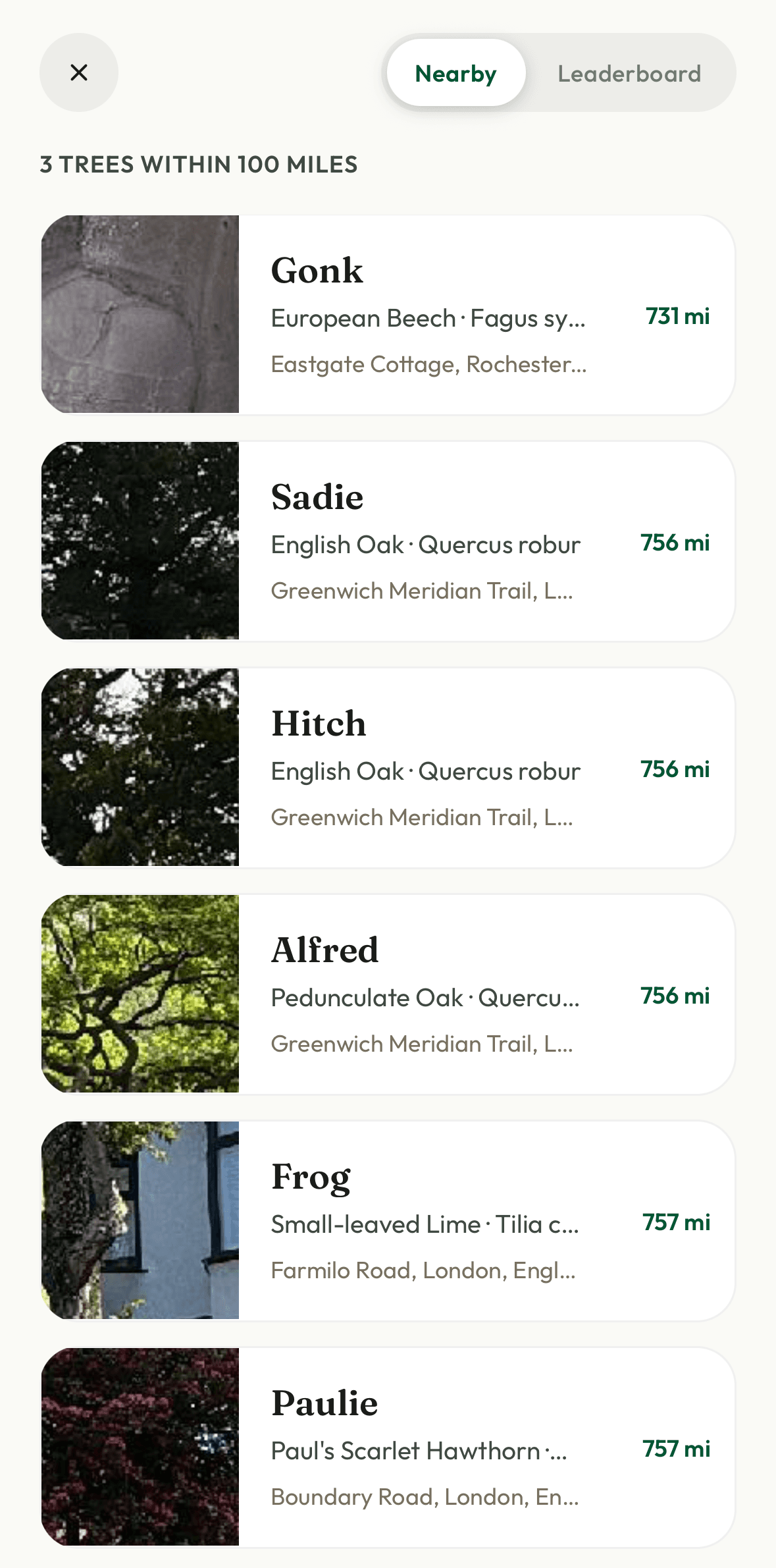 Browsing nearby claimed trees in the Sylvo app