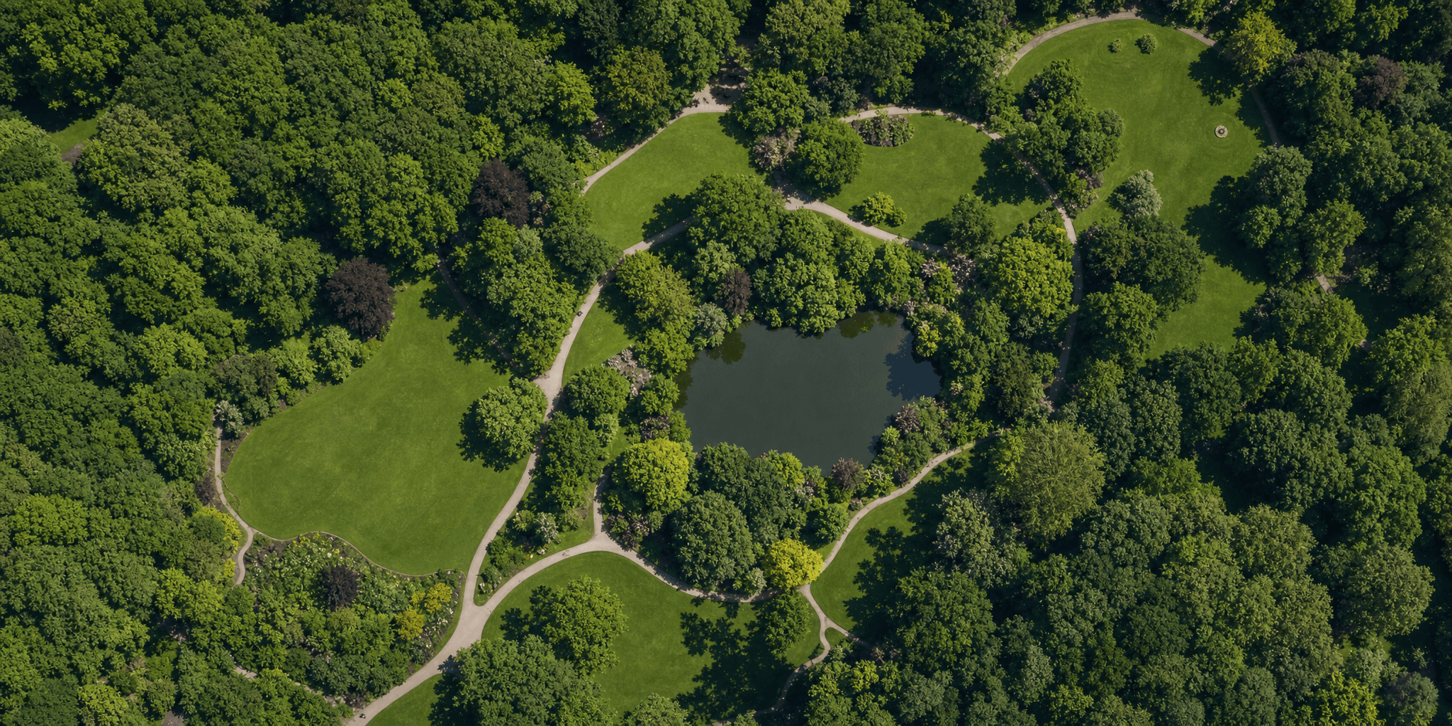 Aerial view of a public park with tree canopies, lawns, paths and a small pond